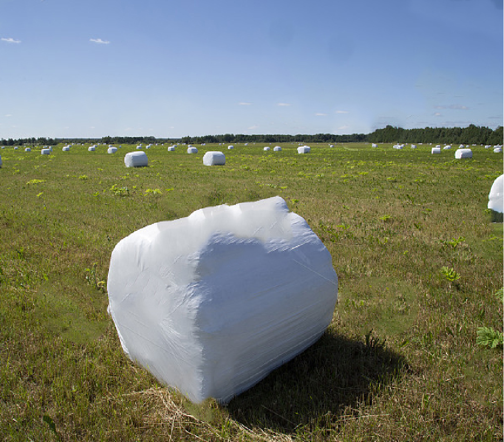 Silage Film