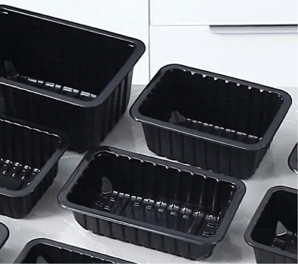 Disposable Food Container